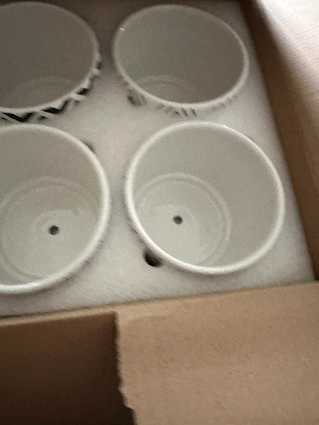 Set of 4 Ceramic Succulent Pots with Bamboo Saucers