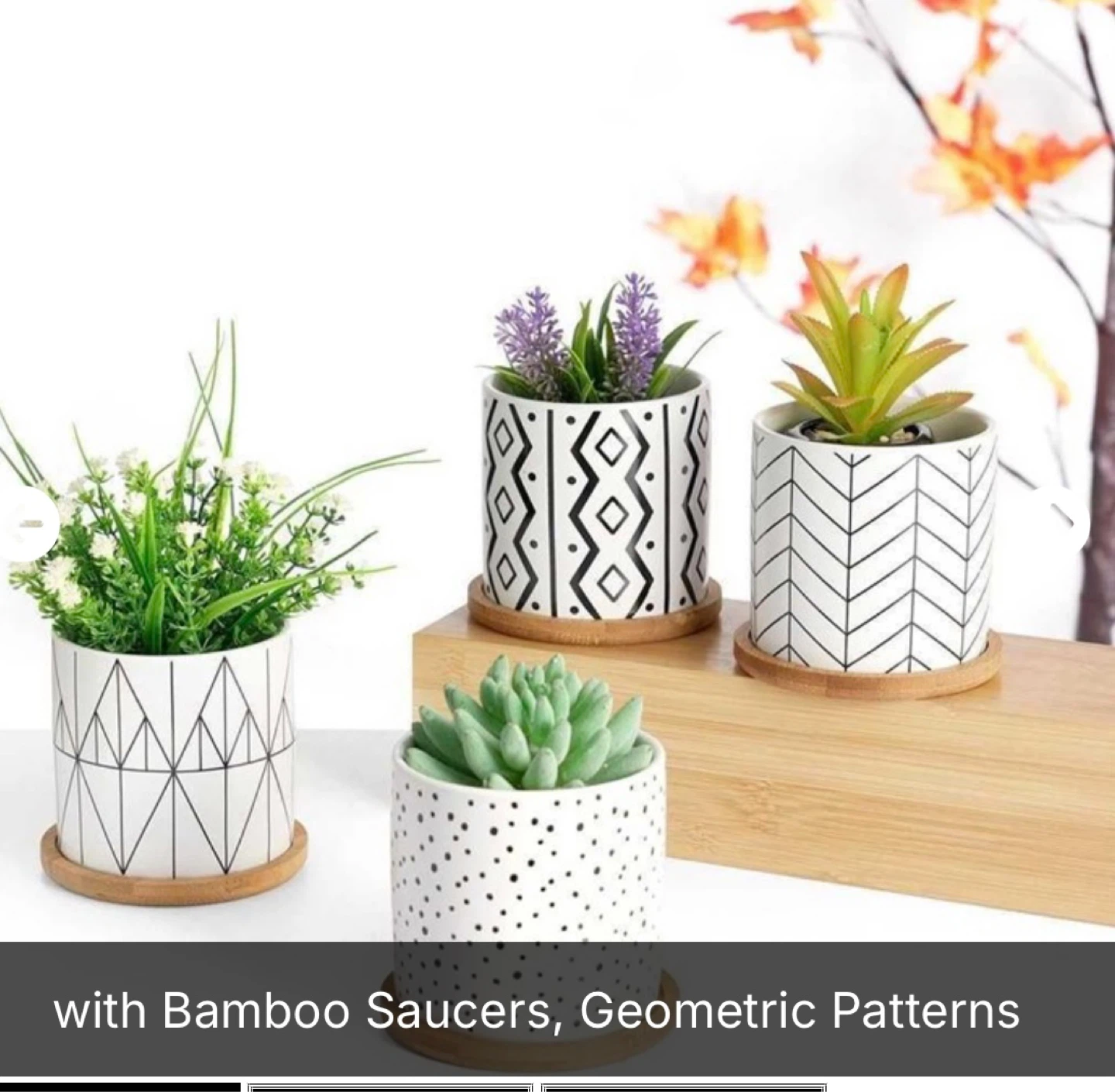 Set of 4 Ceramic Succulent Pots with Bamboo Saucers - photo 3