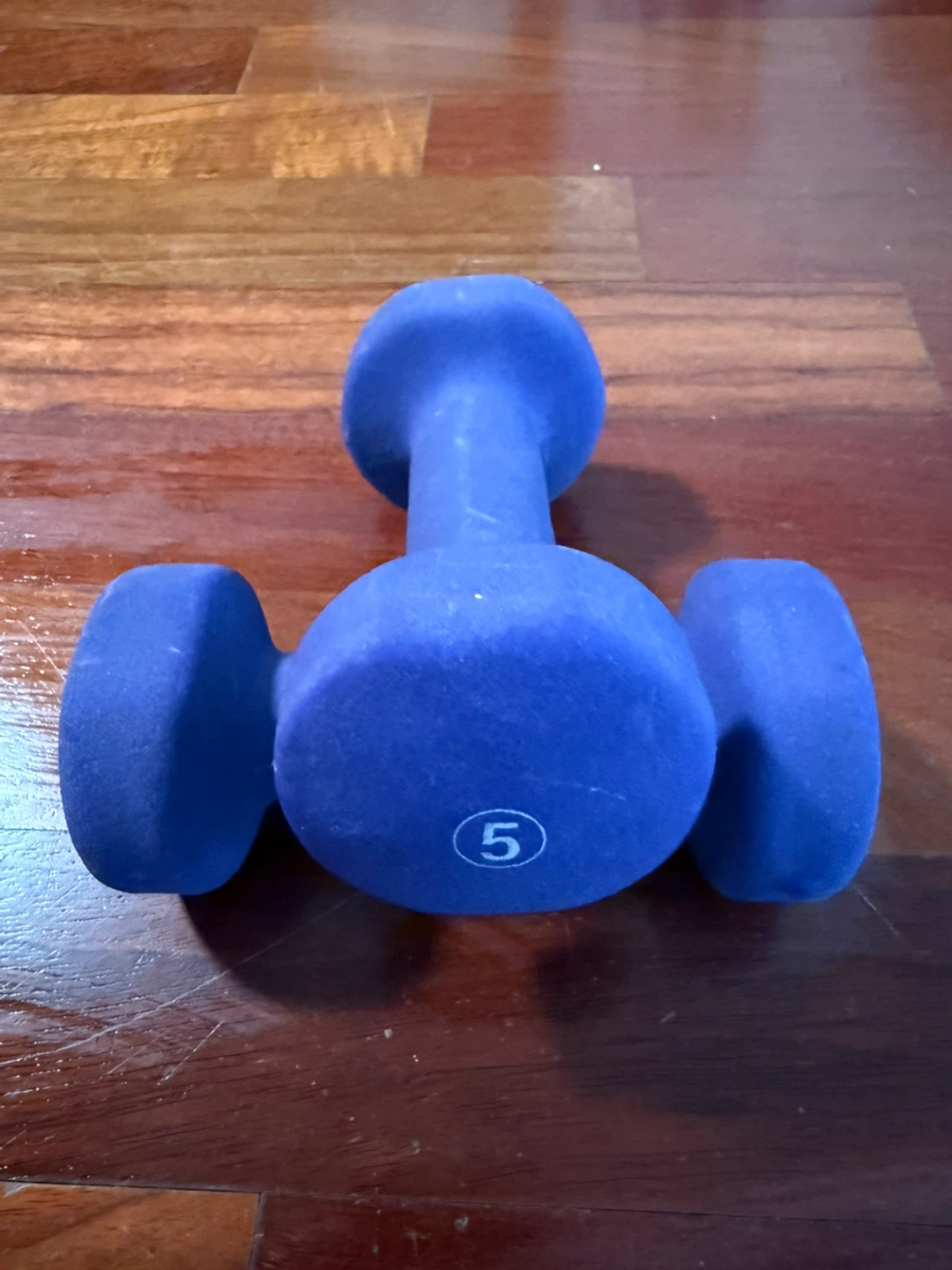 Pair of 5lb Blue Dumbbells