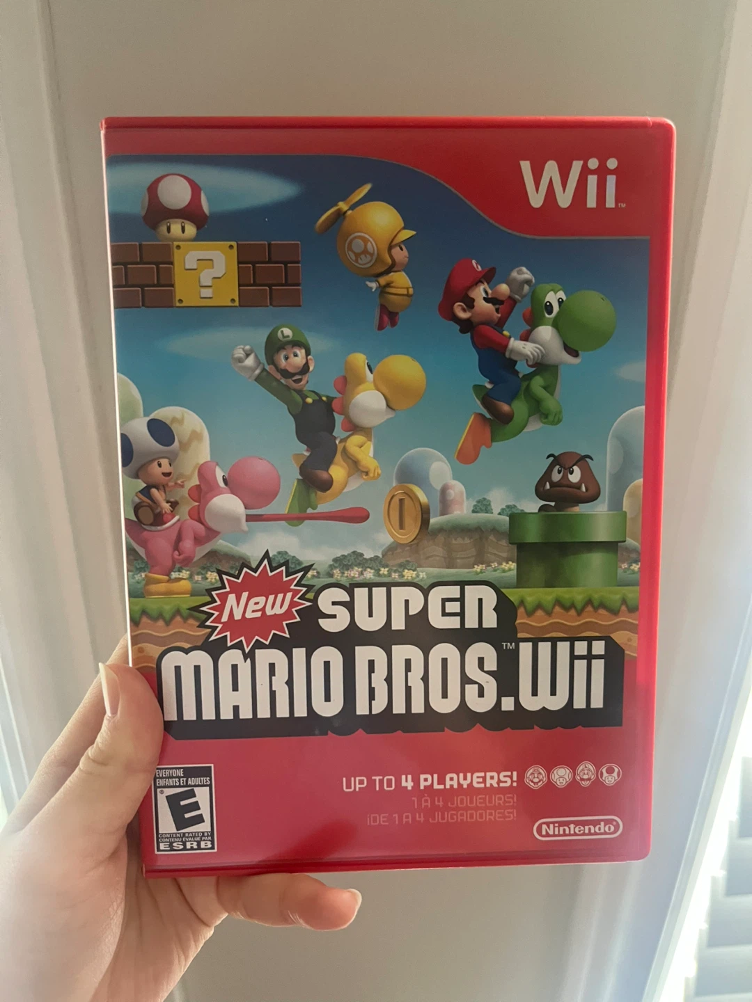 Super Mario Bros. Wii