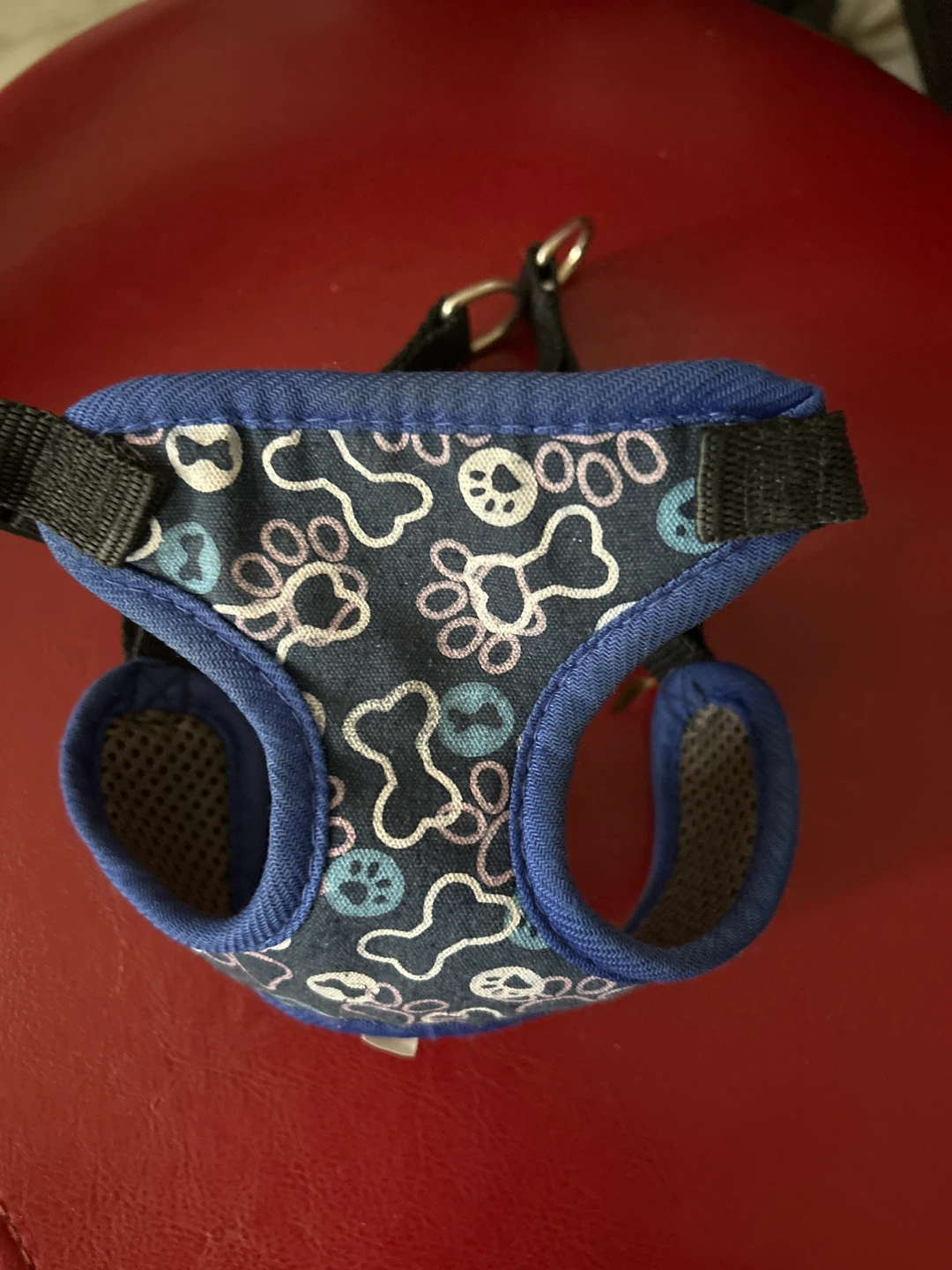 Blue Dog Harness with Paw Print Pattern