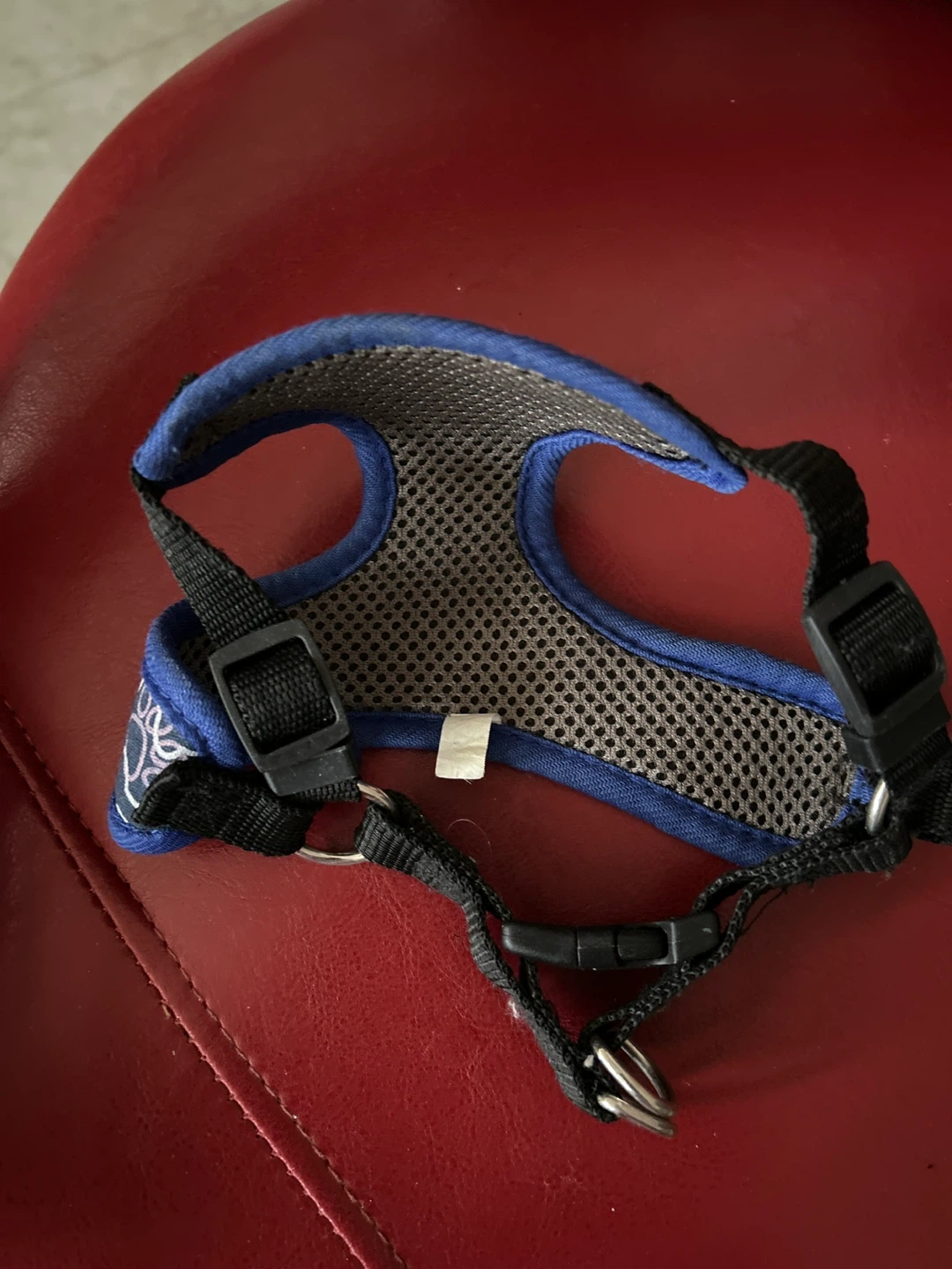 Blue Dog Harness with Paw Print Pattern - photo 2