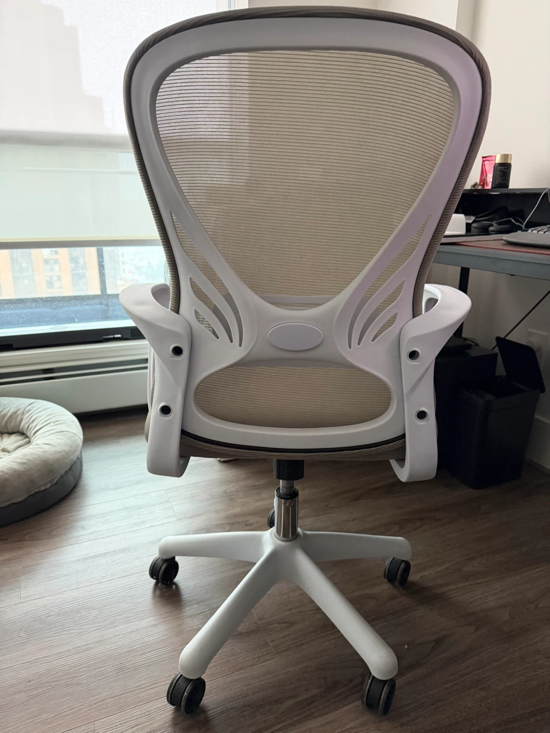 Ergonomic Chair - photo 2