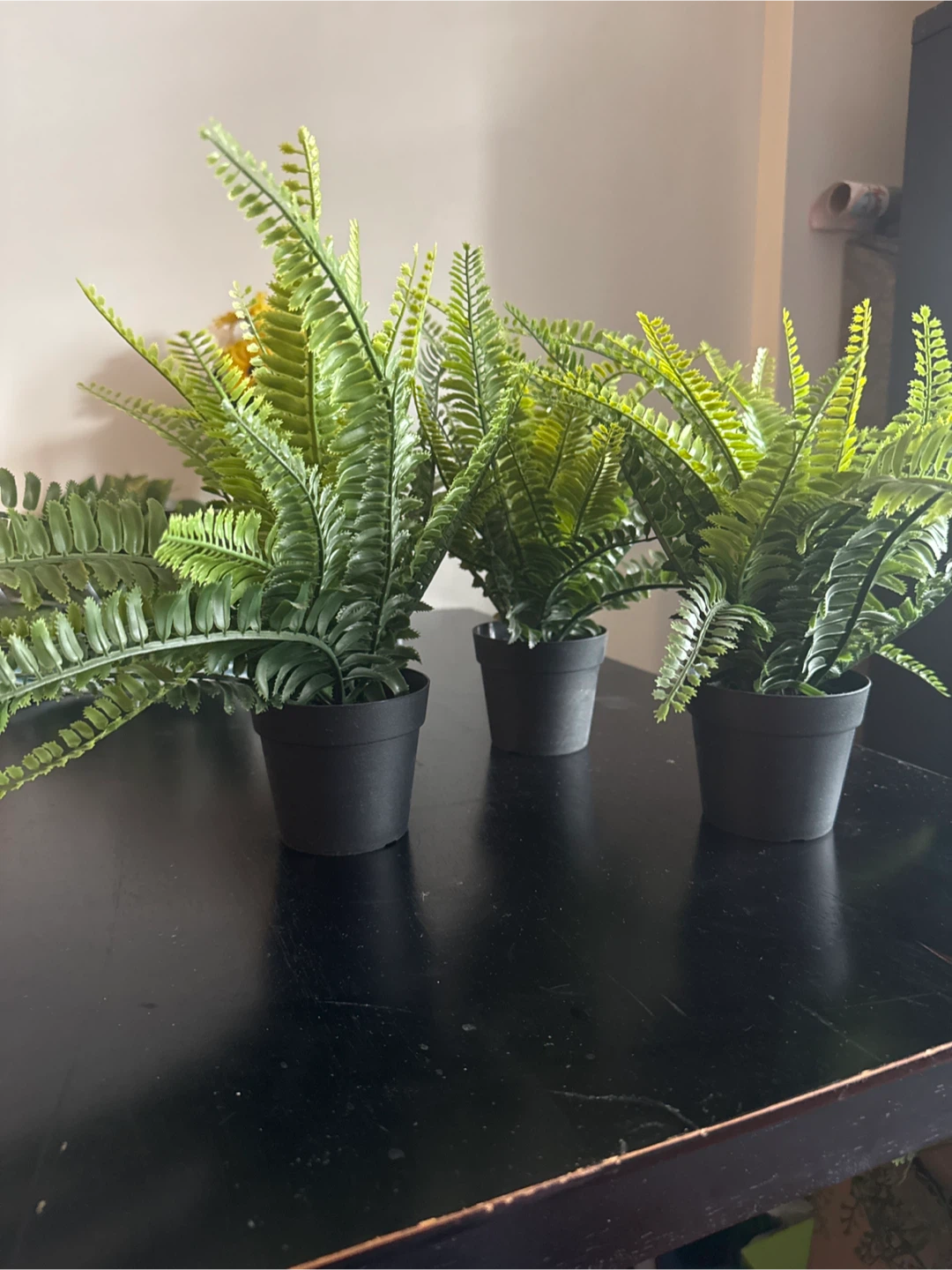 3 for $5 Artificial Fern Plant - photo 3