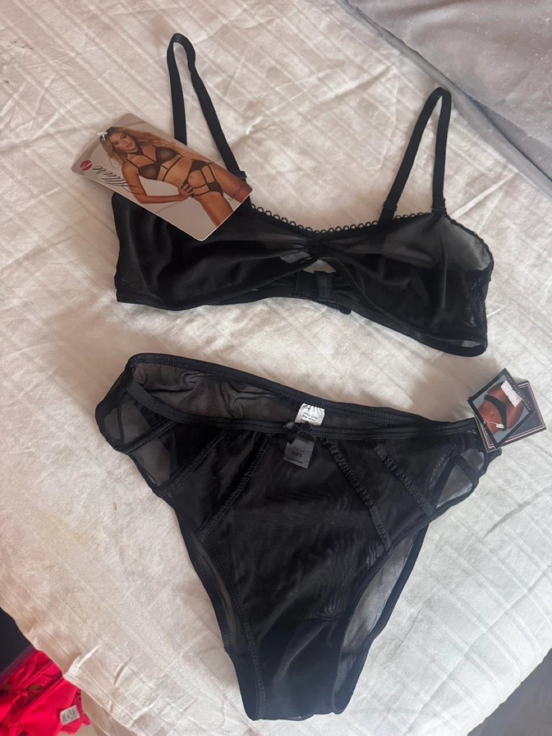 BeWicked Black Sheer Bra and Panty Set