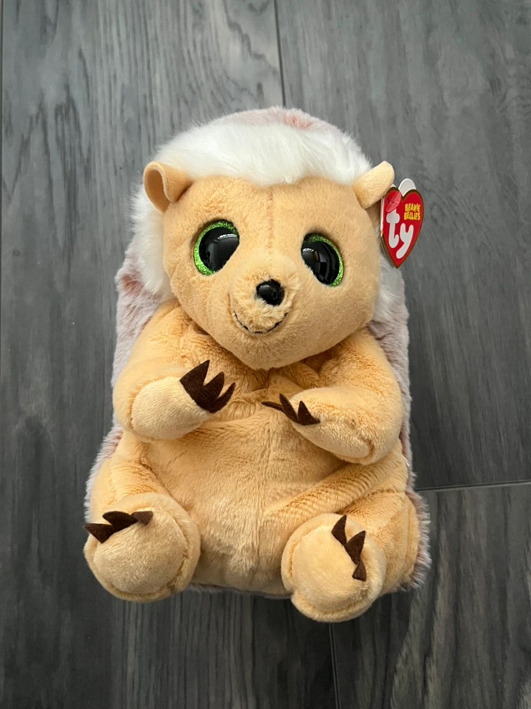 Hedgehog Ty Plushie
