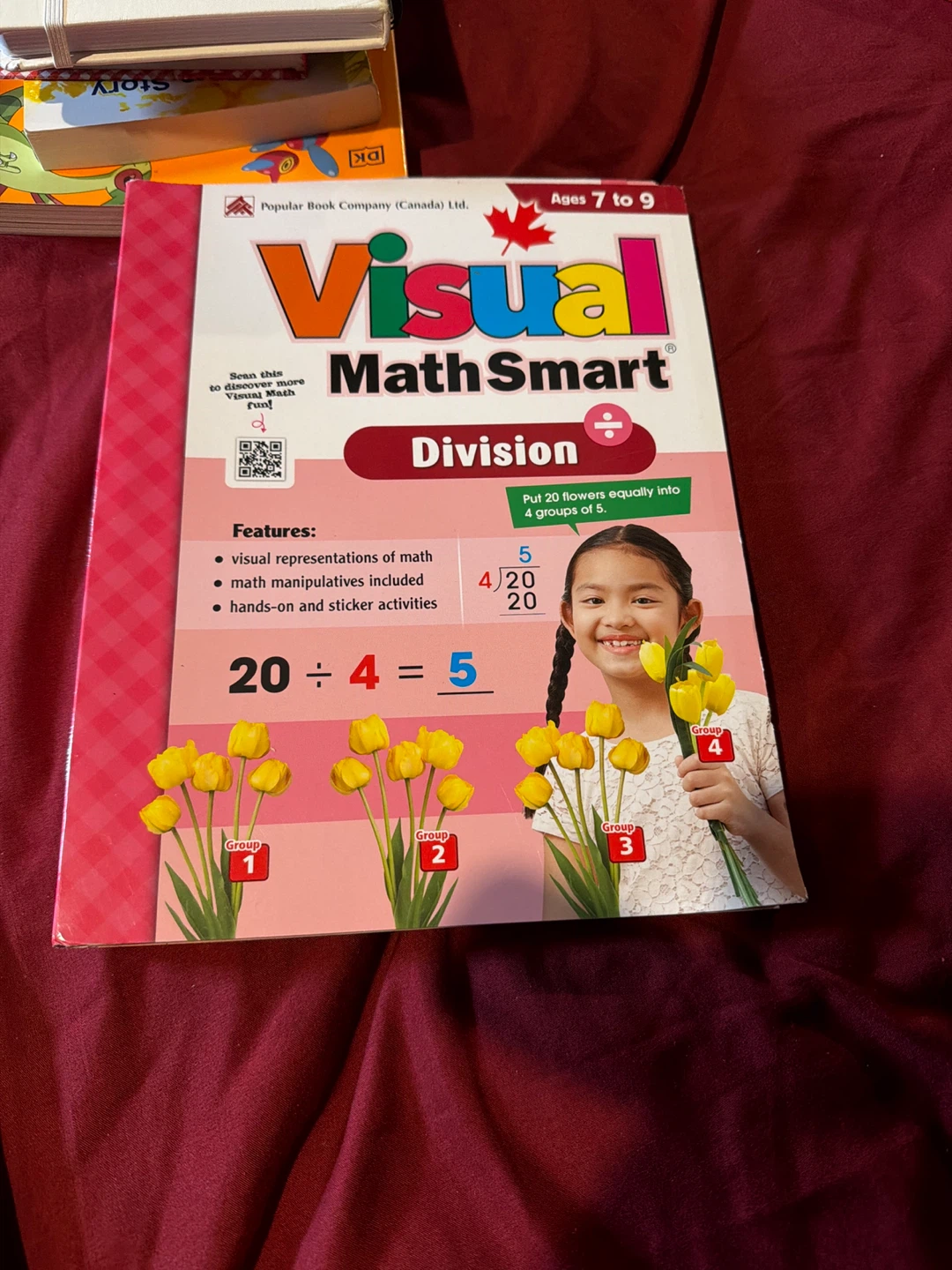 Visual Math Smart Division Workbook Ages 7-9