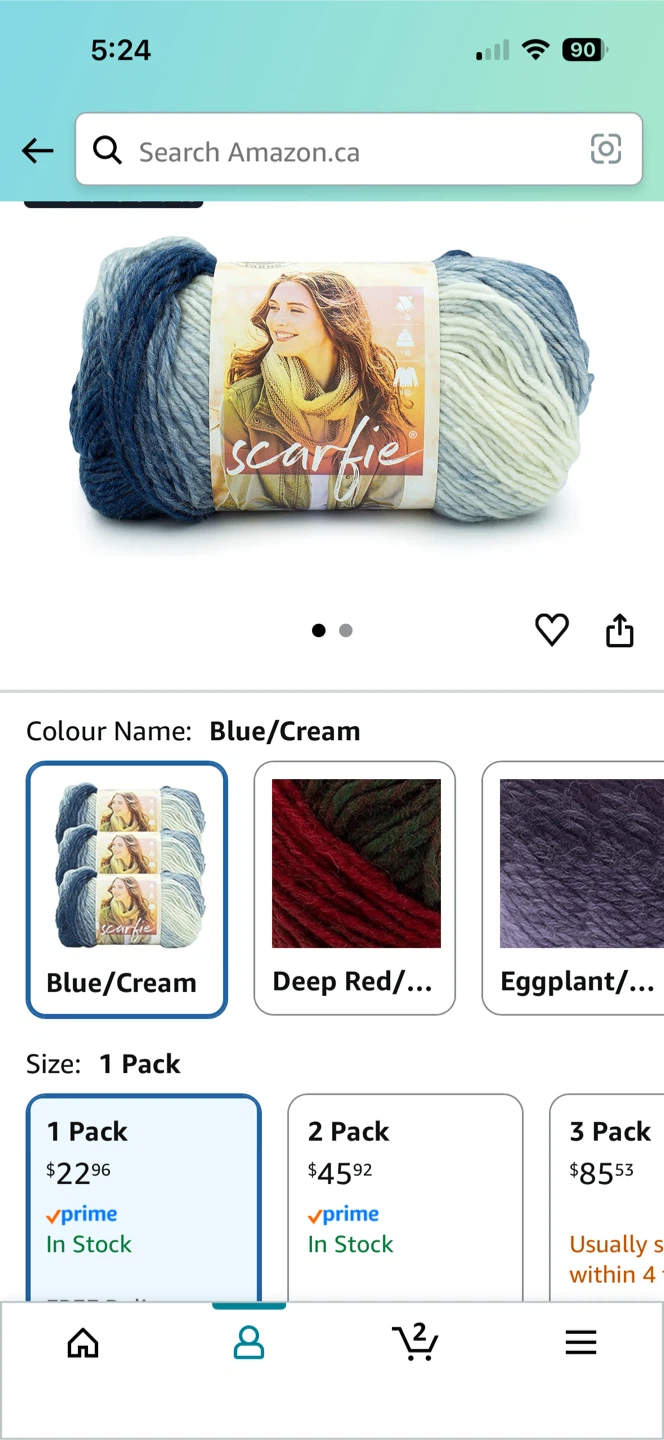 Lion Brand Scarfie Yarn in Blue/Cream - photo 2