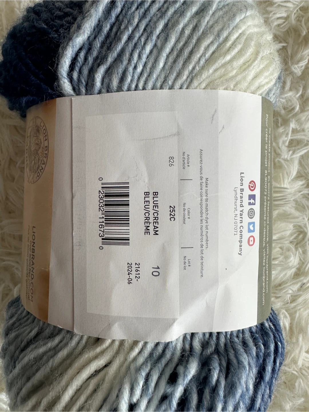 Lion Brand Scarfie Yarn in Blue/Cream - photo 4