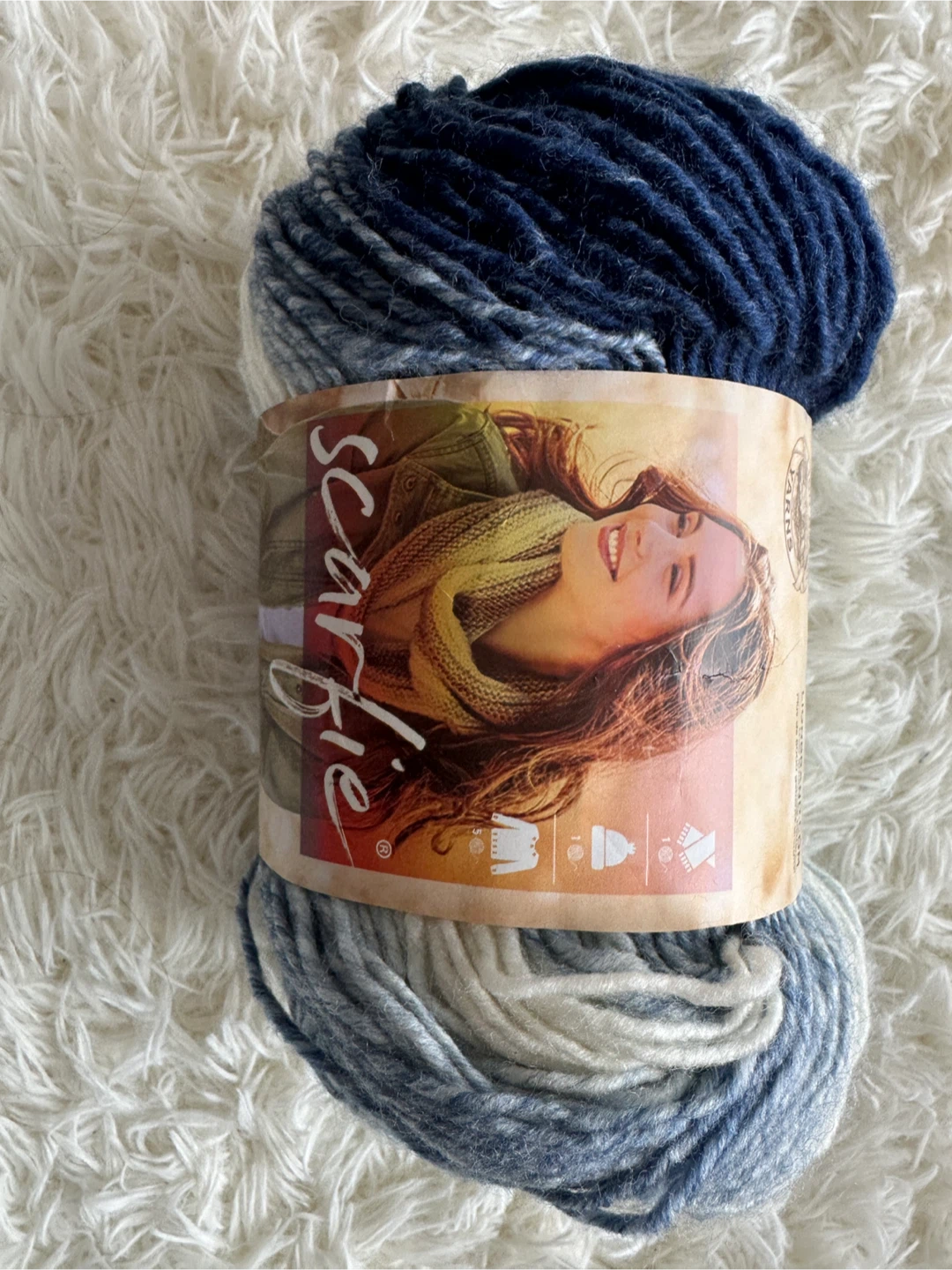 Lion Brand Scarfie Yarn in Blue/Cream