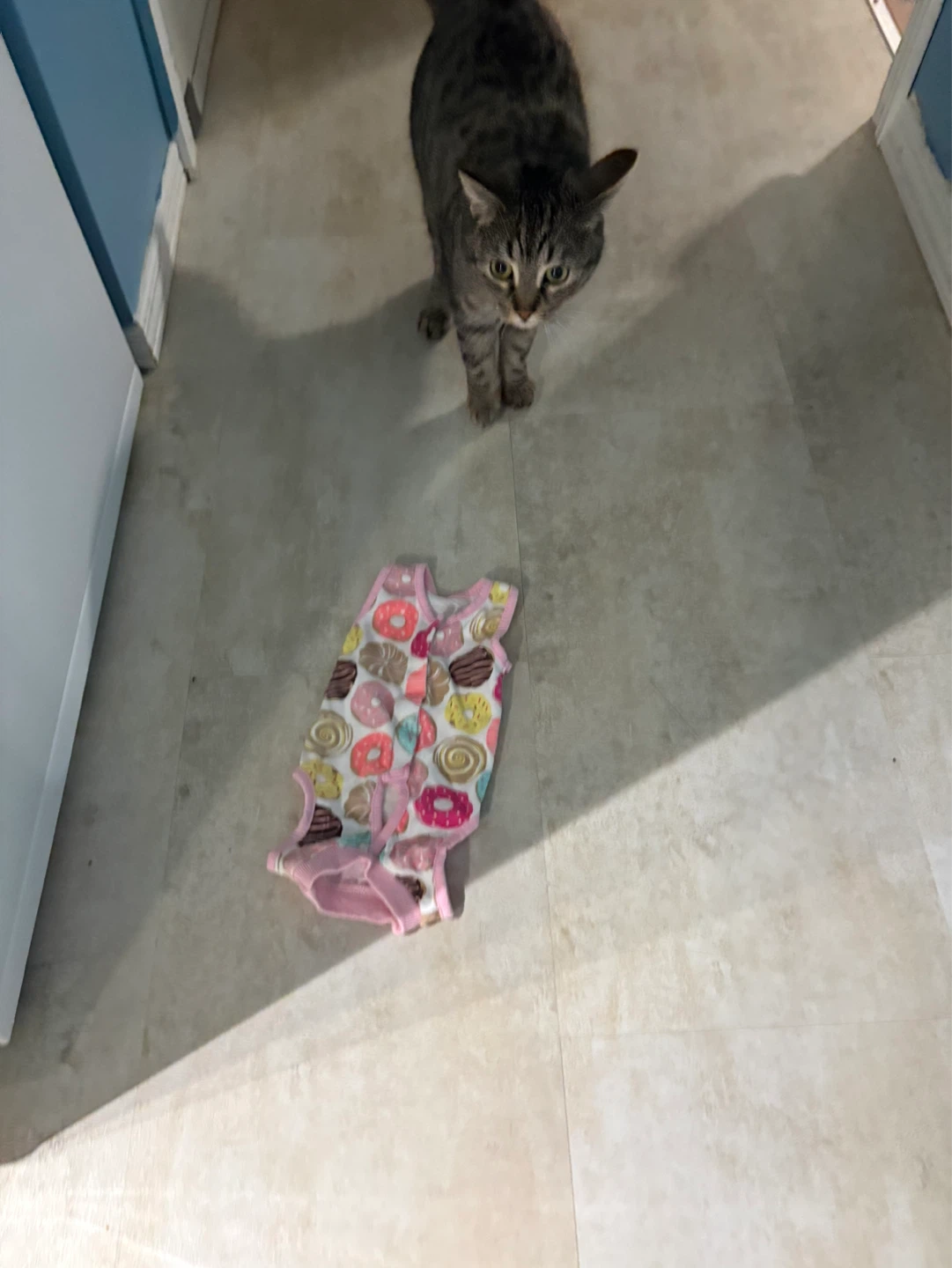 Cat recovery Onesies - photo 3