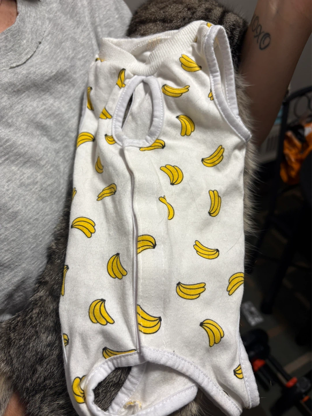 Cat recovery Onesies - photo 5