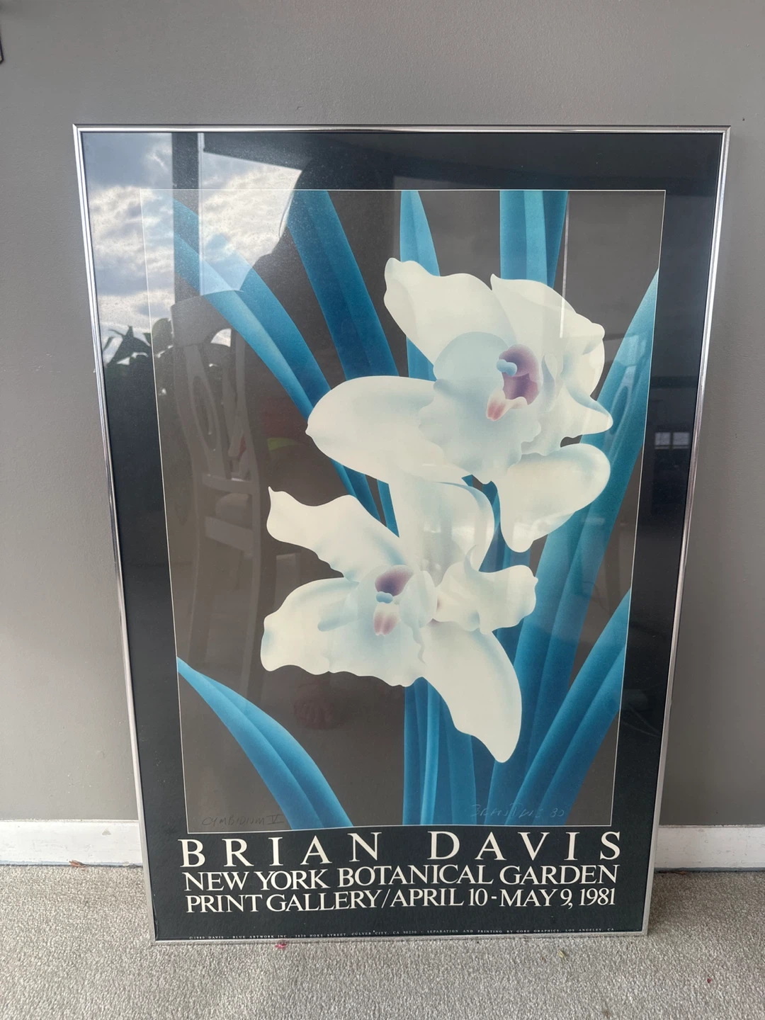 Brian Davis New York Botanical Garden Print - Orchids