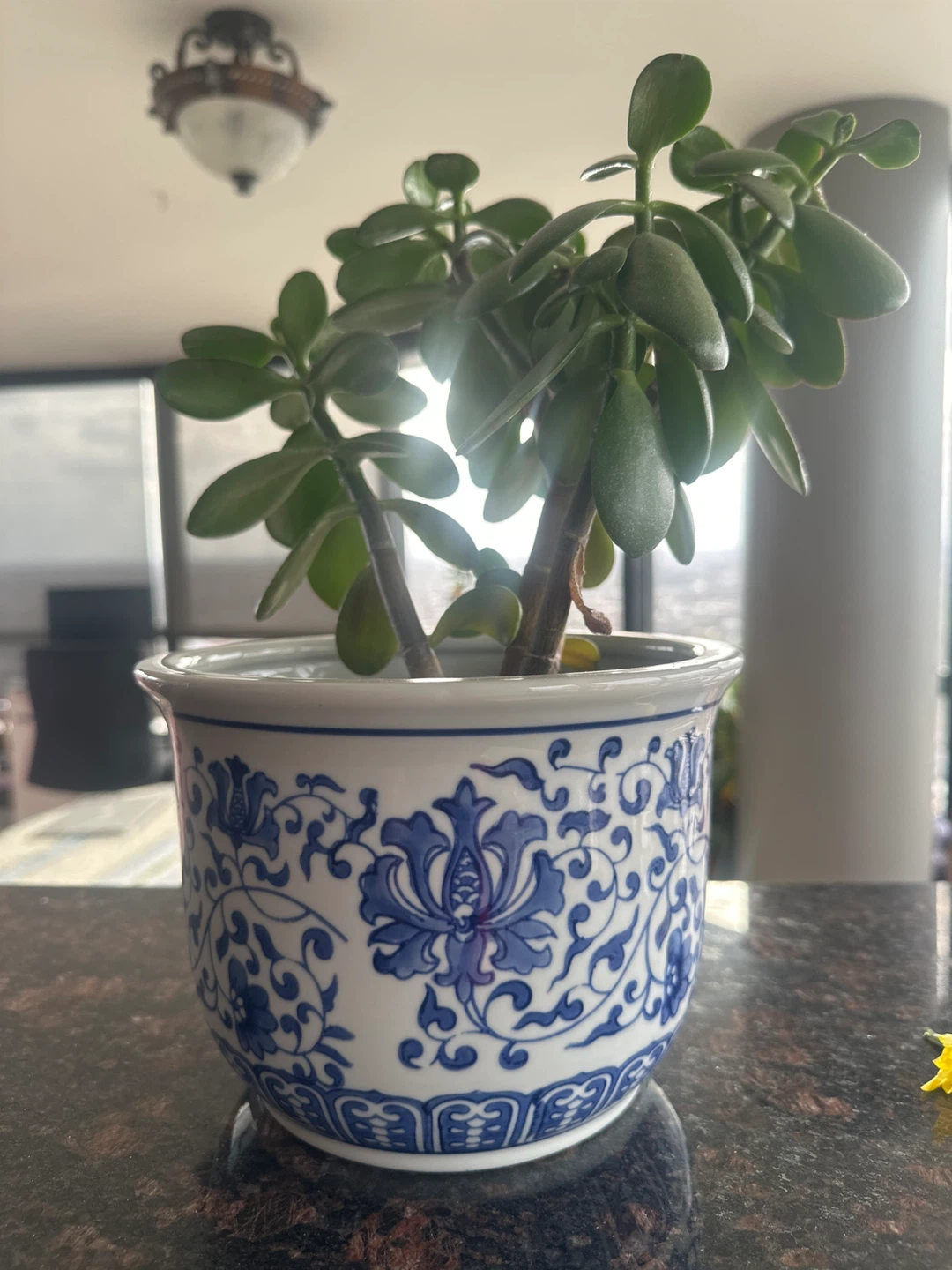 Blue and White Floral Ceramic Planter Pot - photo 2