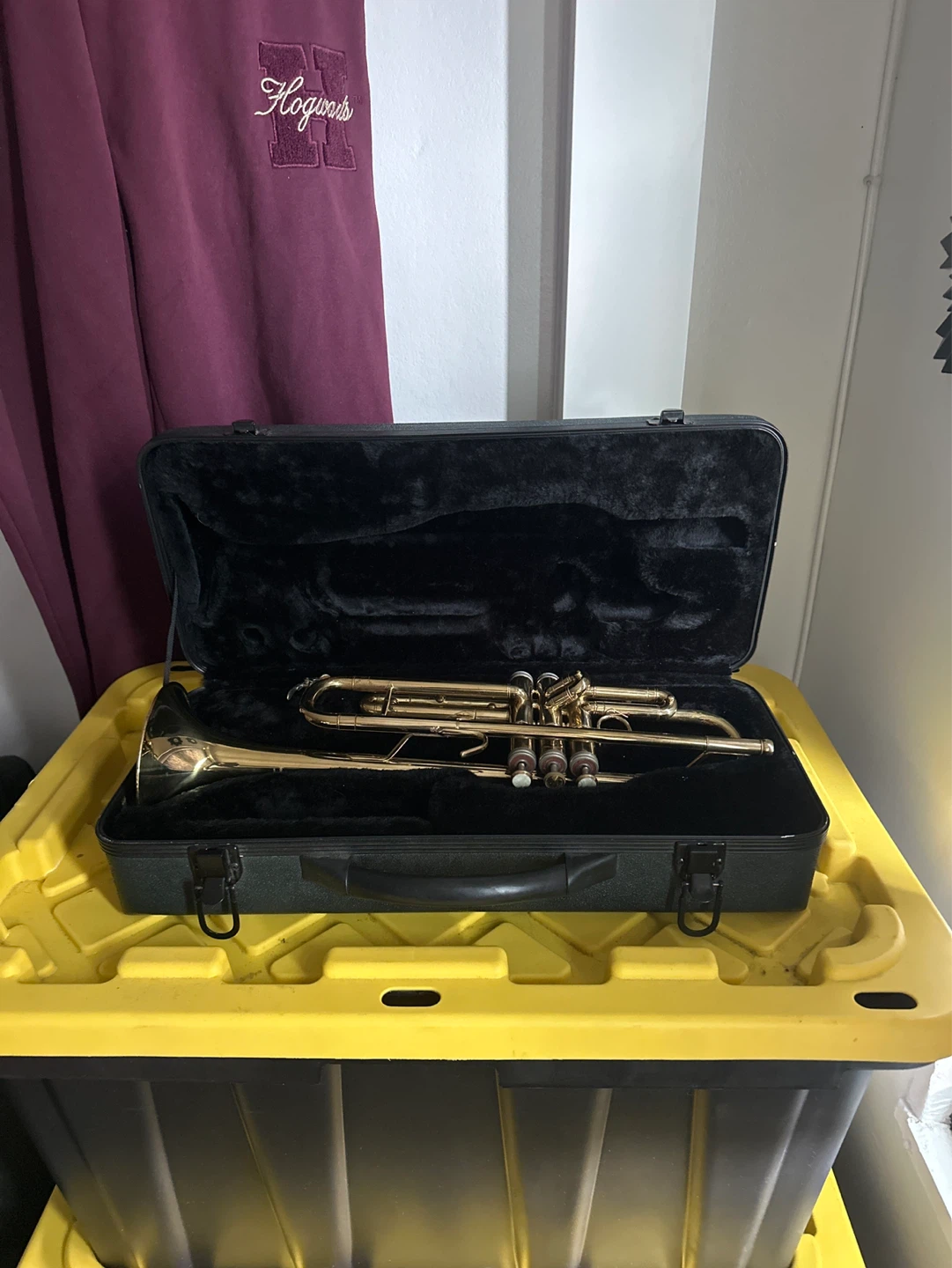 Trumpet in Case