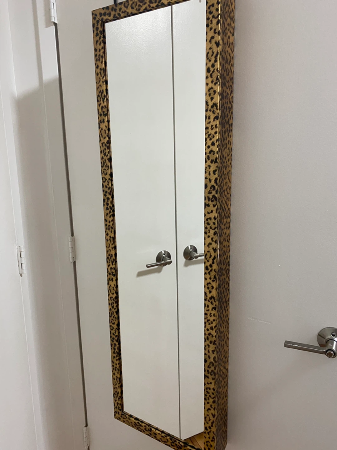 Leopard Print Jewelry Armoire with Mirror - photo 2