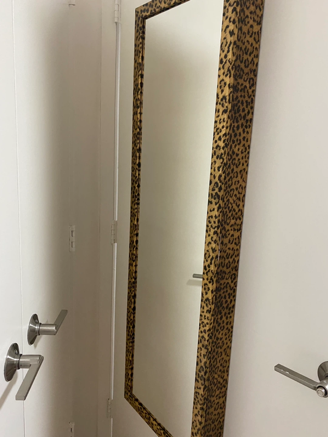 Leopard Print Jewelry Armoire with Mirror