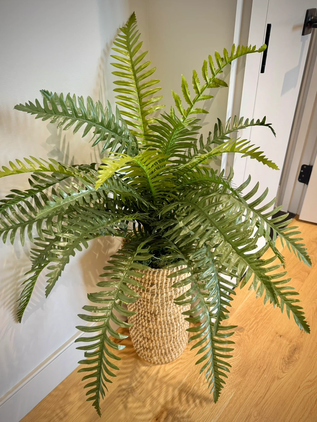 Faux Fern Plant in Woven Basket - photo 2