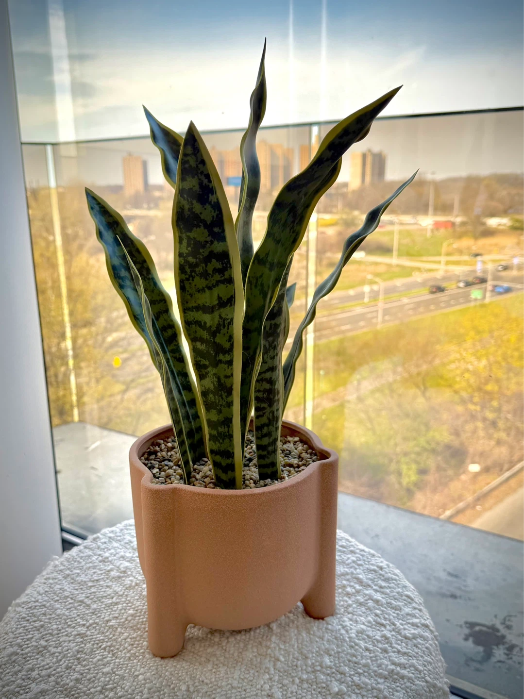 Faux Snake Plant in Ceramic Pot