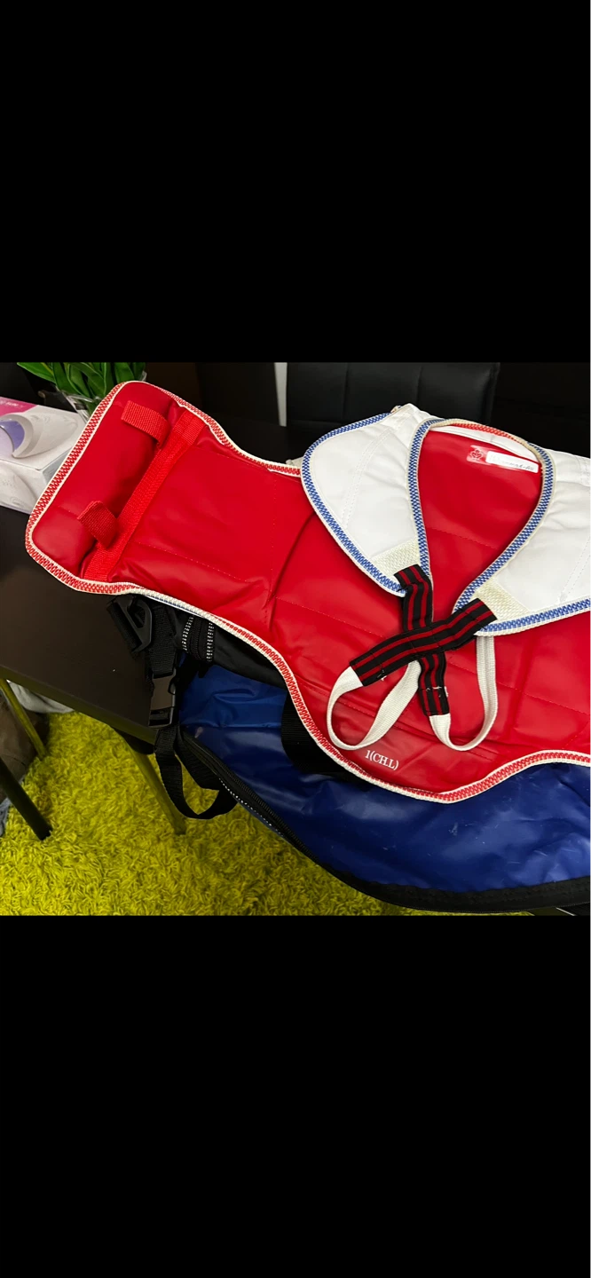 Taekwondo Sparring Gear Set - photo 5