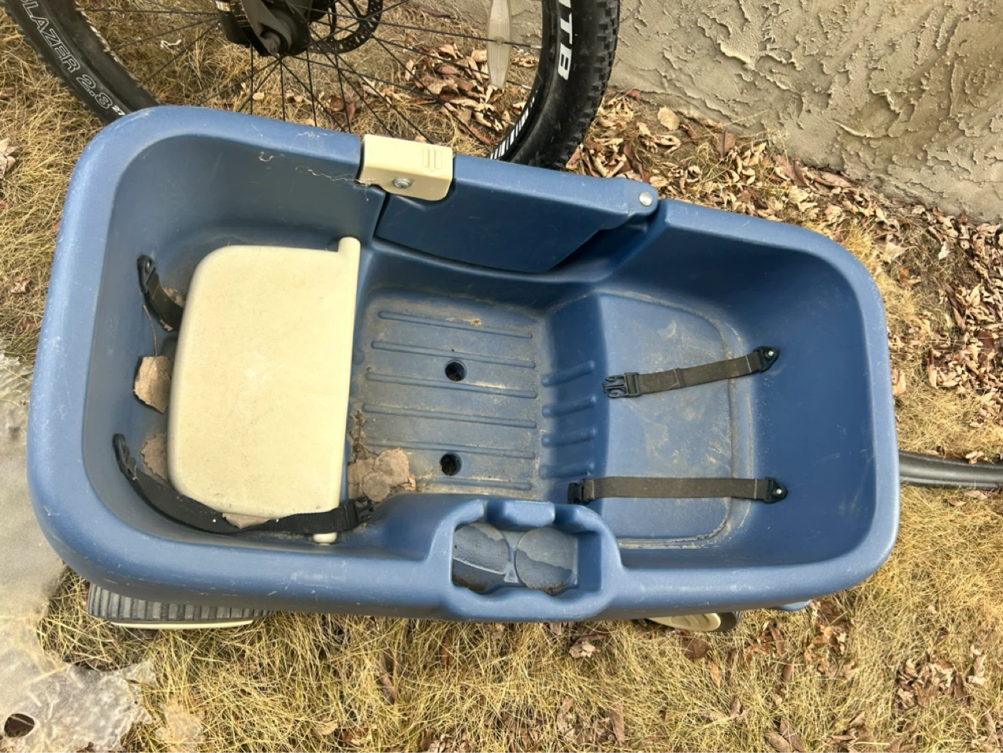Blue Kid's Wagon