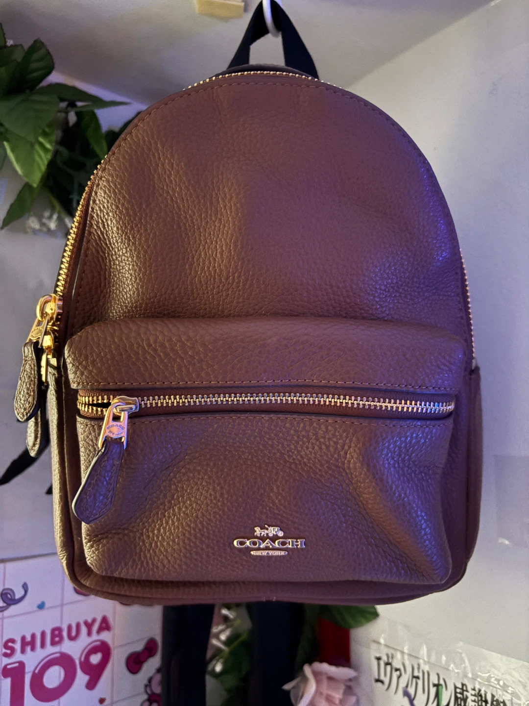 Coach Brown Pebbled Leather Mini Backpack