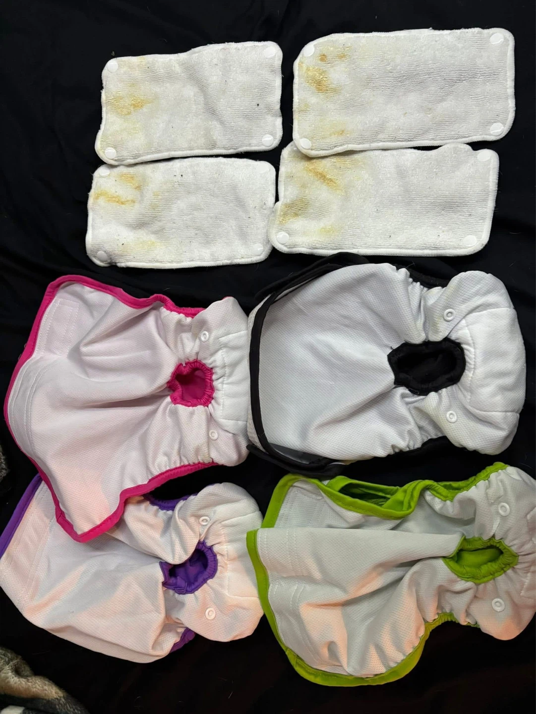 Teamoy L1 Female Dog Diapers with Pads (4 Pack) - photo 2