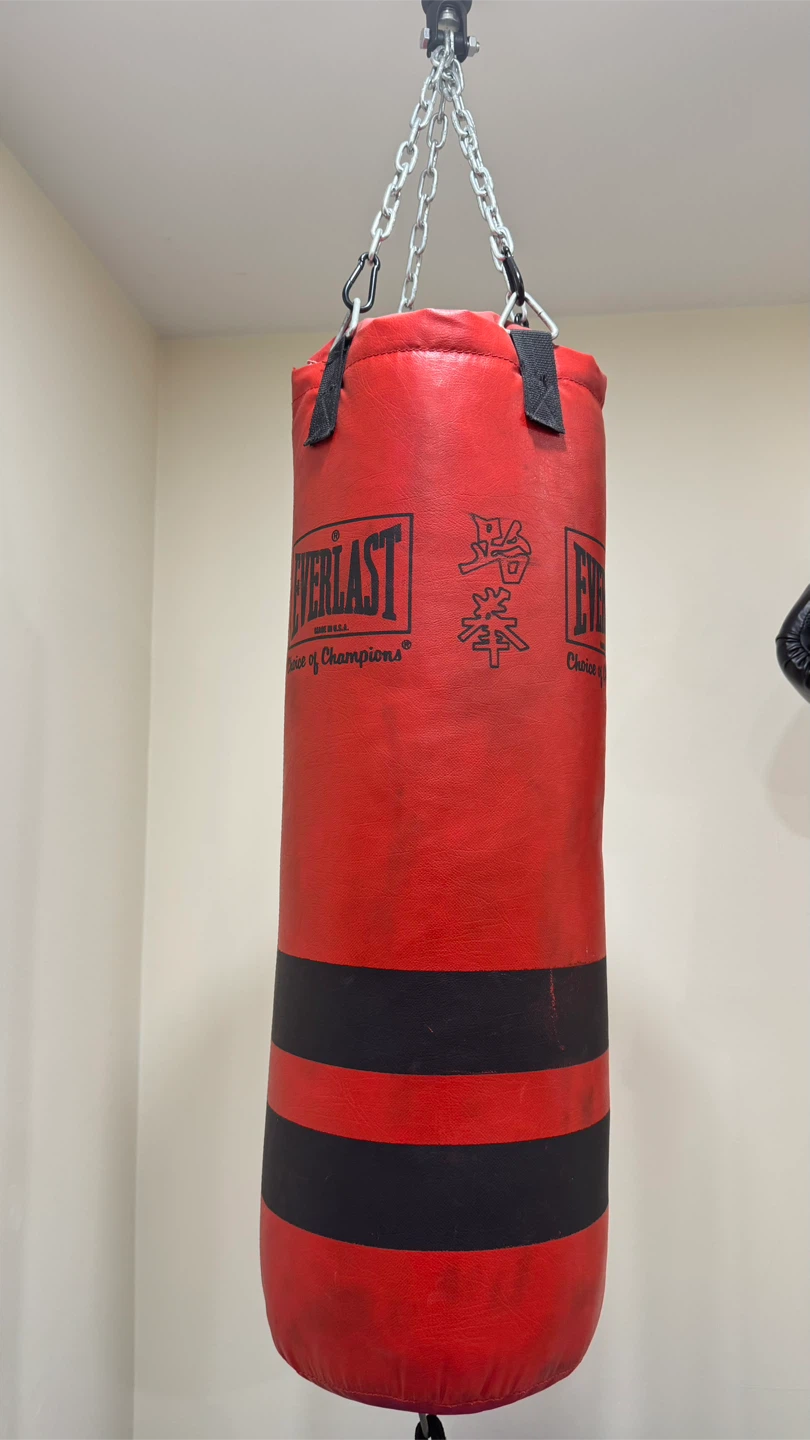 Everlast 14oz Boxing Gloves and Punching Bag Set