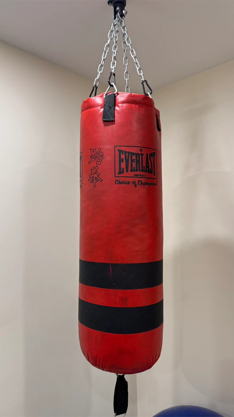Everlast 14oz Boxing Gloves and Punching Bag Set - photo 2