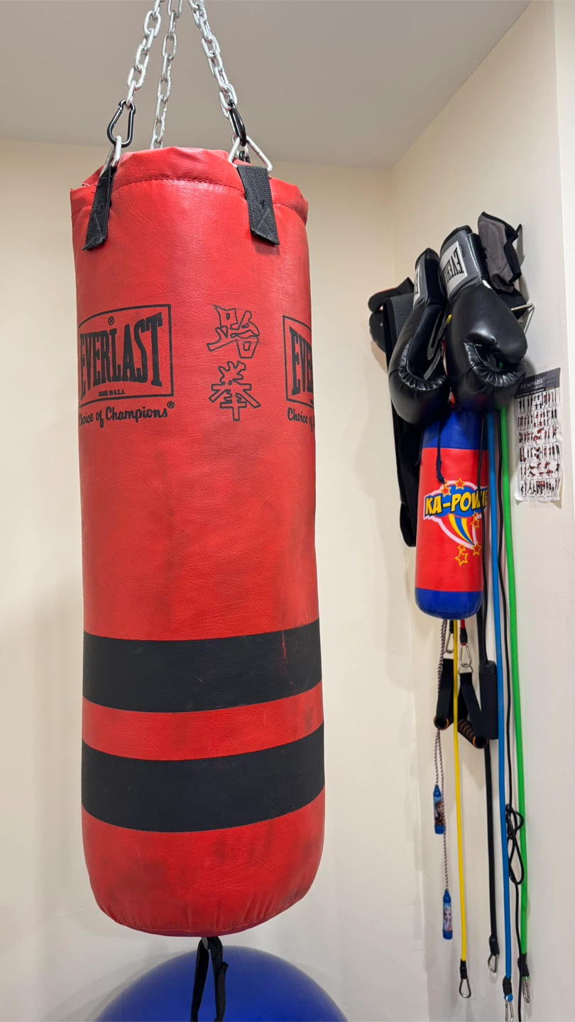 Everlast 14oz Boxing Gloves and Punching Bag Set - photo 3