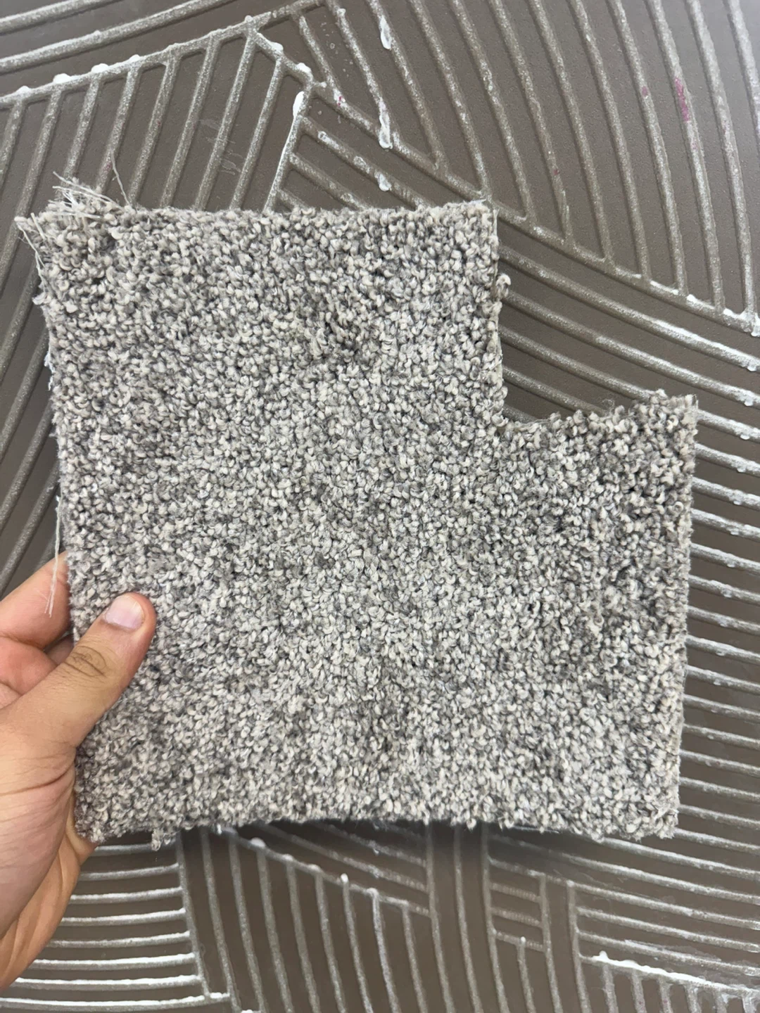 Carpet - photo 5