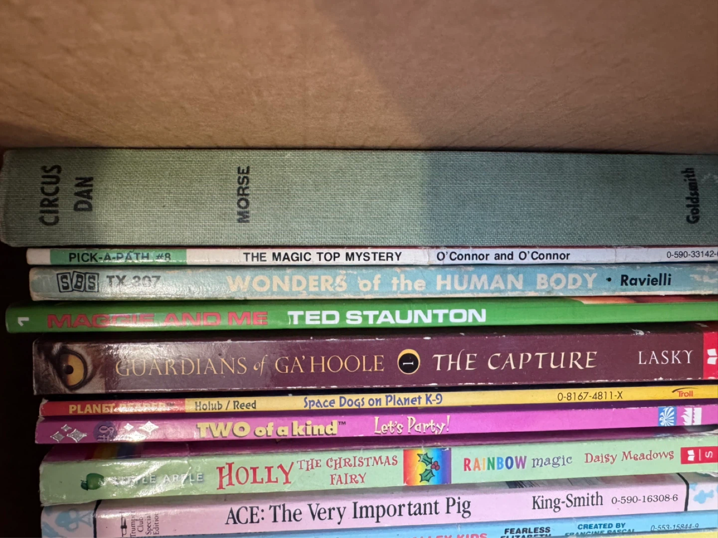 Bundle of R.L. Stine Goosebumps and other Young Adult Books - photo 3