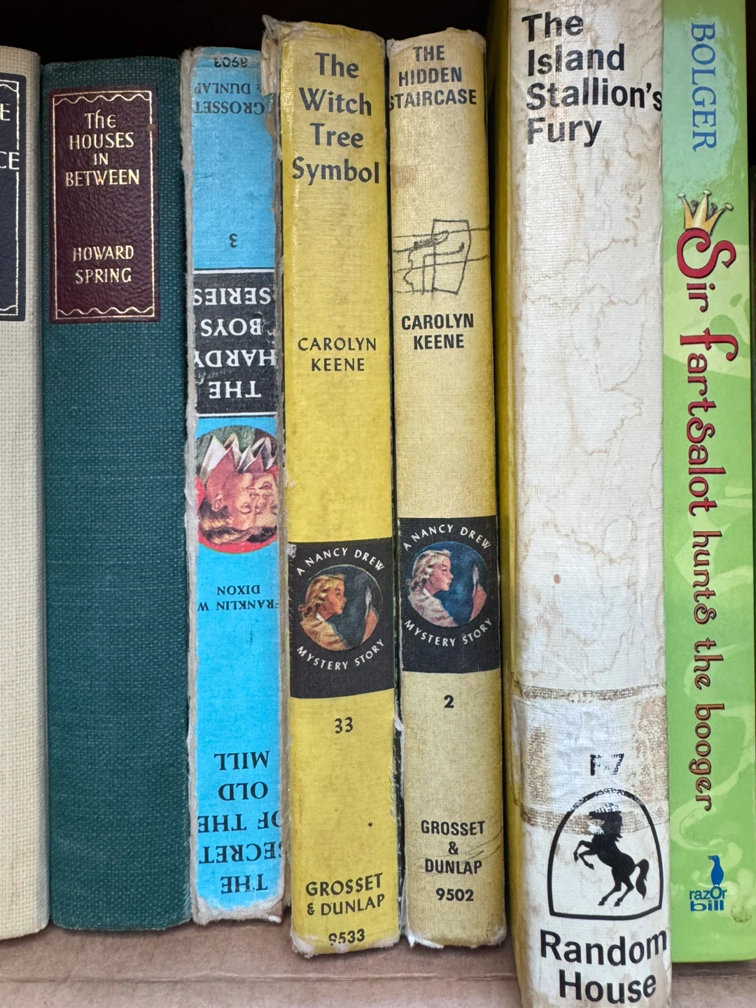 Bundle of R.L. Stine Goosebumps and other Young Adult Books - photo 5