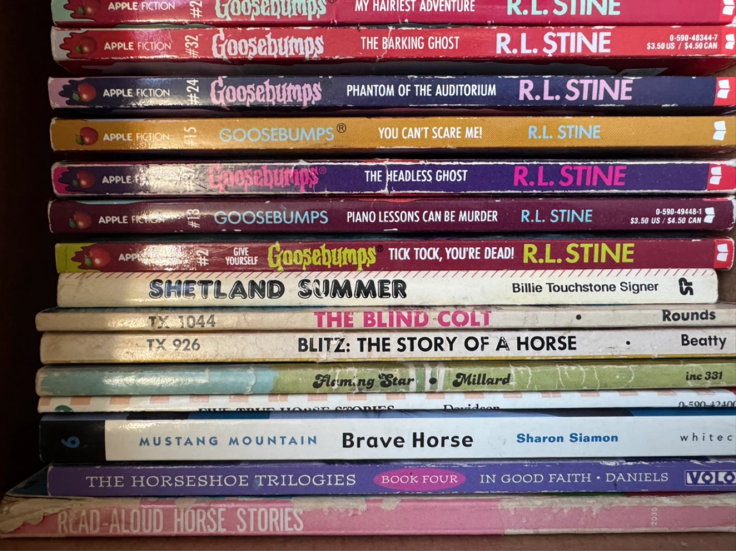 Bundle of R.L. Stine Goosebumps and other Young Adult Books