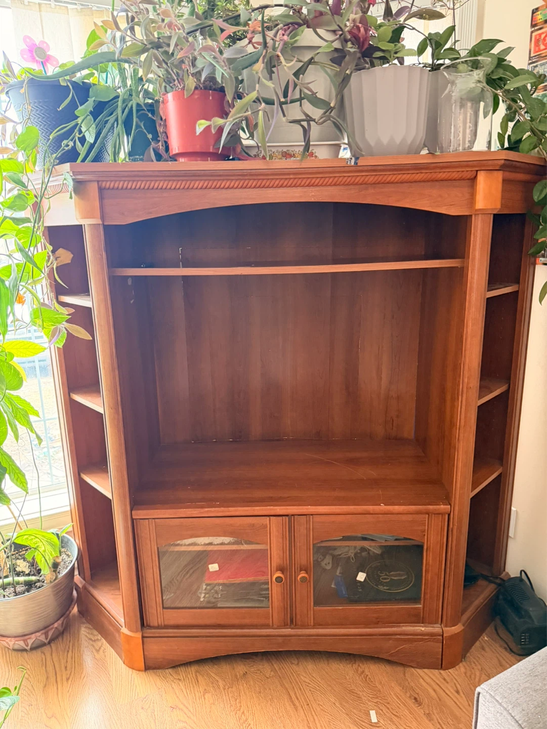 Wooden Media Console with Glass Doors