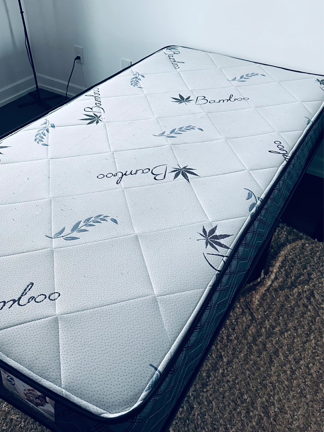 Twin Bamboo Mattress + Twin Foldable Bed