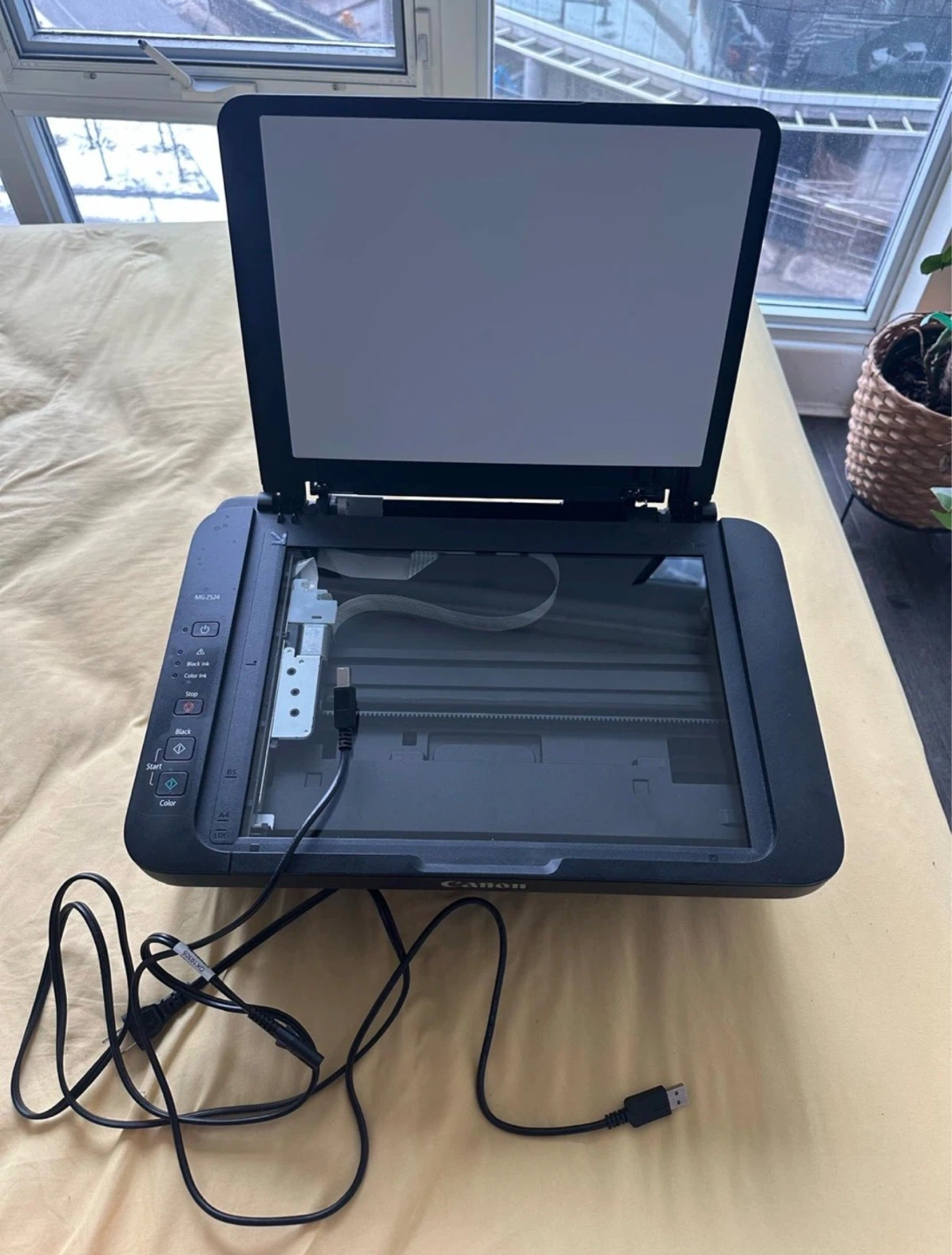 Canon PIXMA MG2524 All-in-One Printer/Scanner
