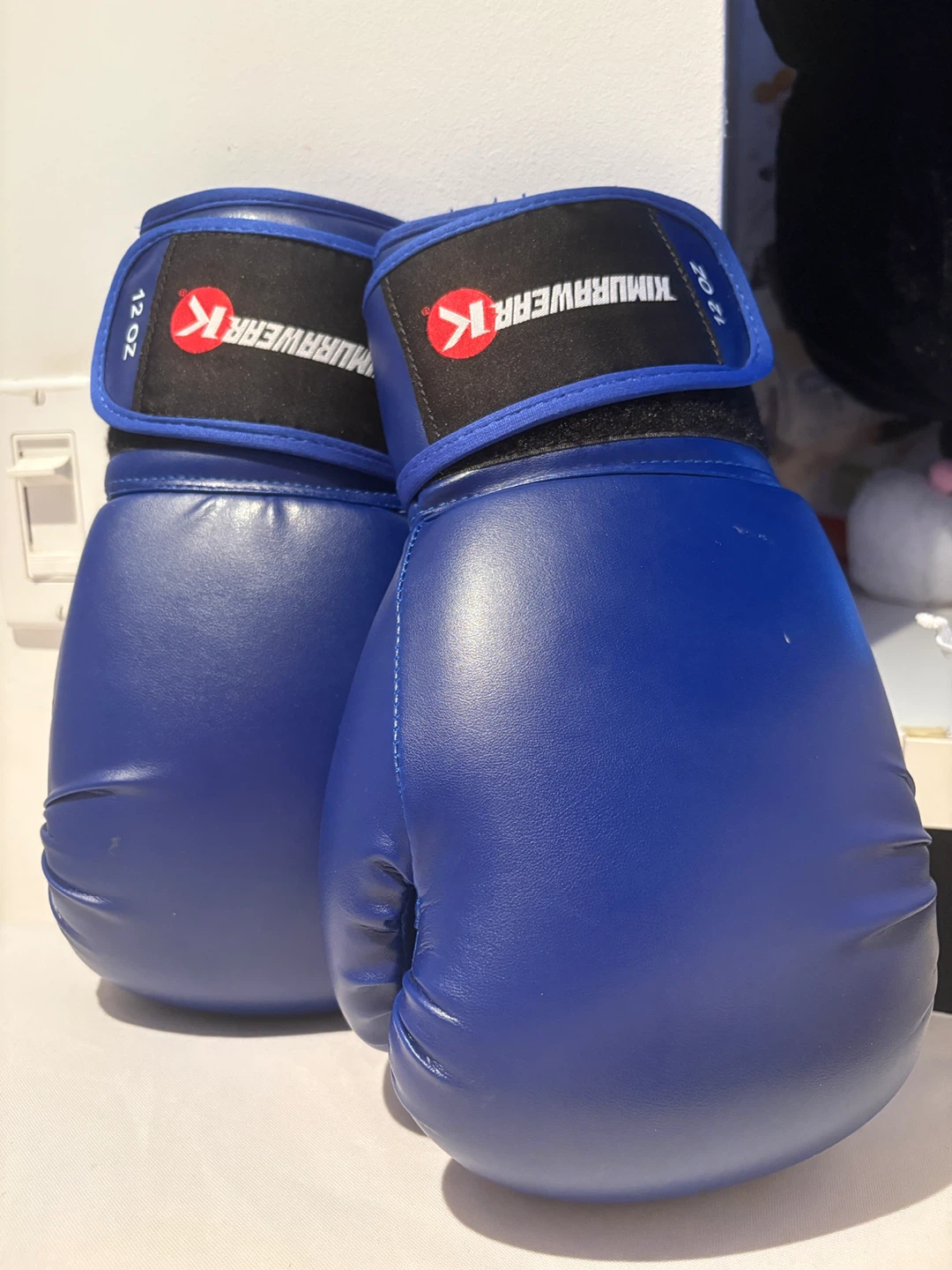 12 oz Boxing Gloves