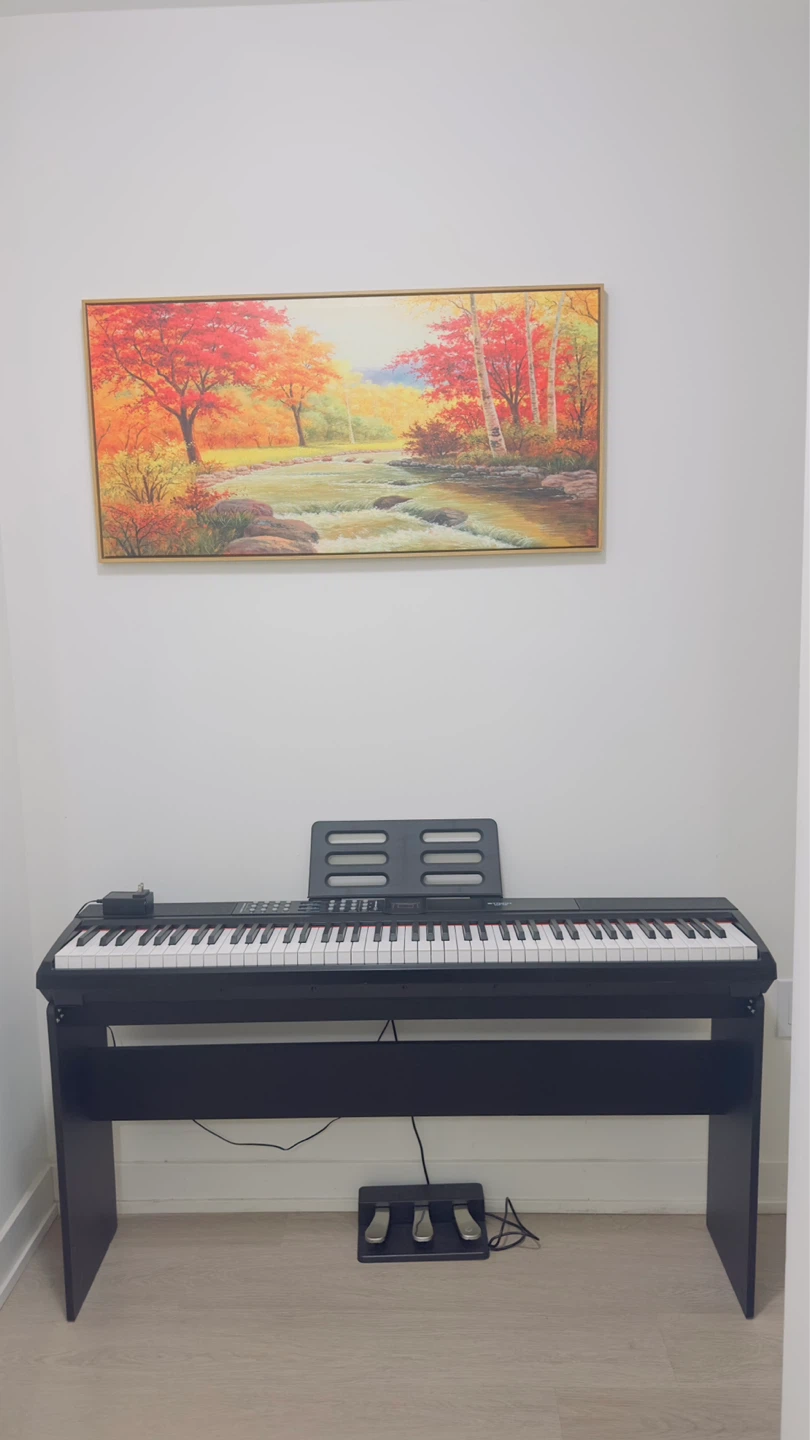 STGICH Digital Piano with Stand and Pedals