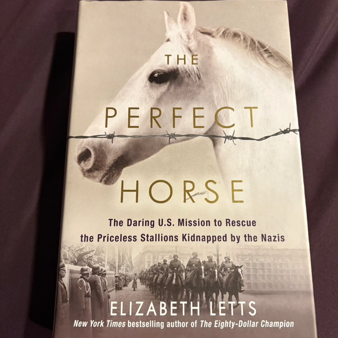 Book- The Perfect Horse