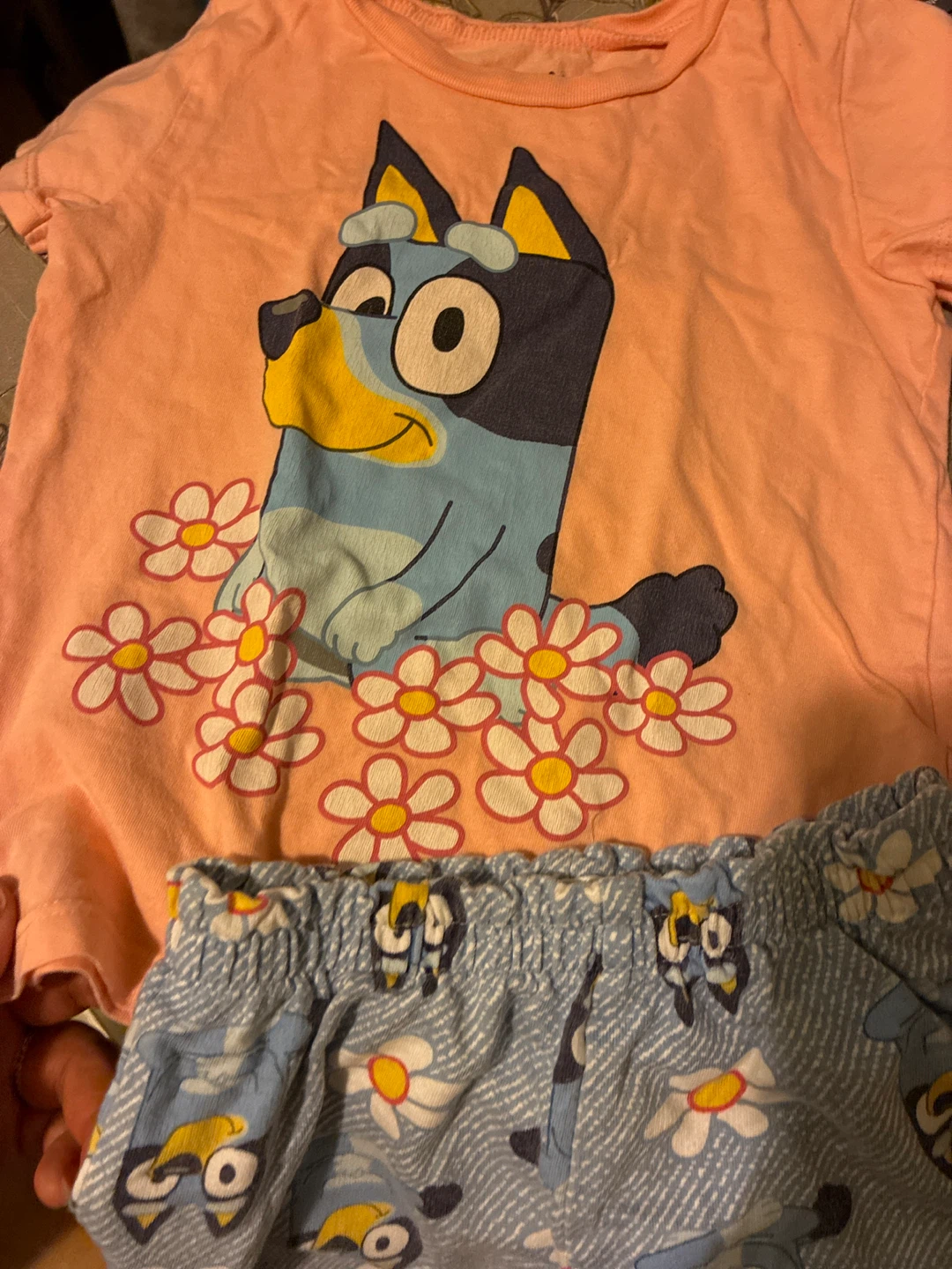Bluey Toddler Girls summer outfit Set - photo 4