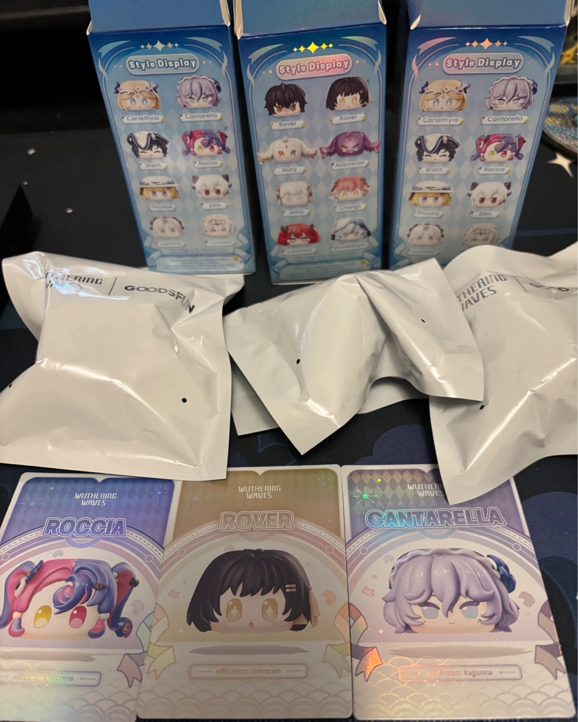 Wuthering Waves Blind Box Figures