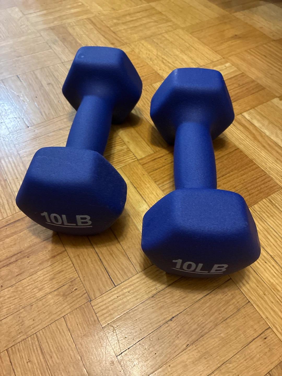 Set of 2 blue 10lb dumbbells