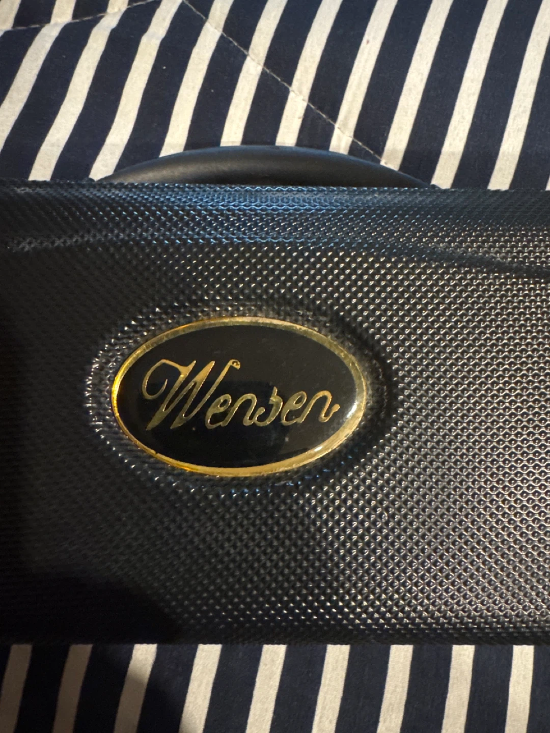 Wersen Flute in Case