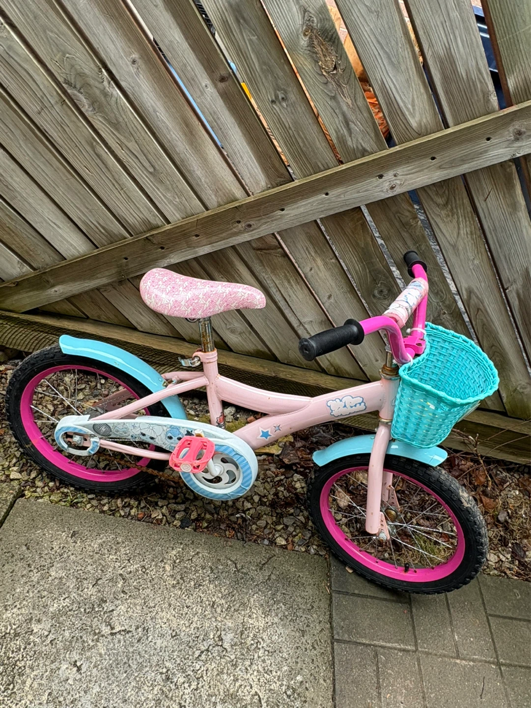 Kids Pink Bicycle with Teal Basket