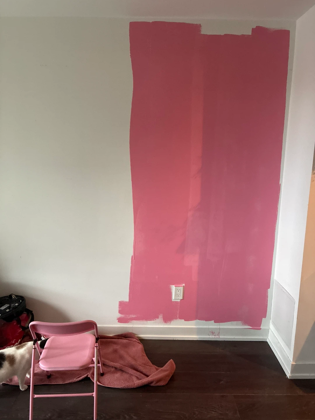 PINK Beauti-Tone Interior Paint - Blanc Texture - photo 3