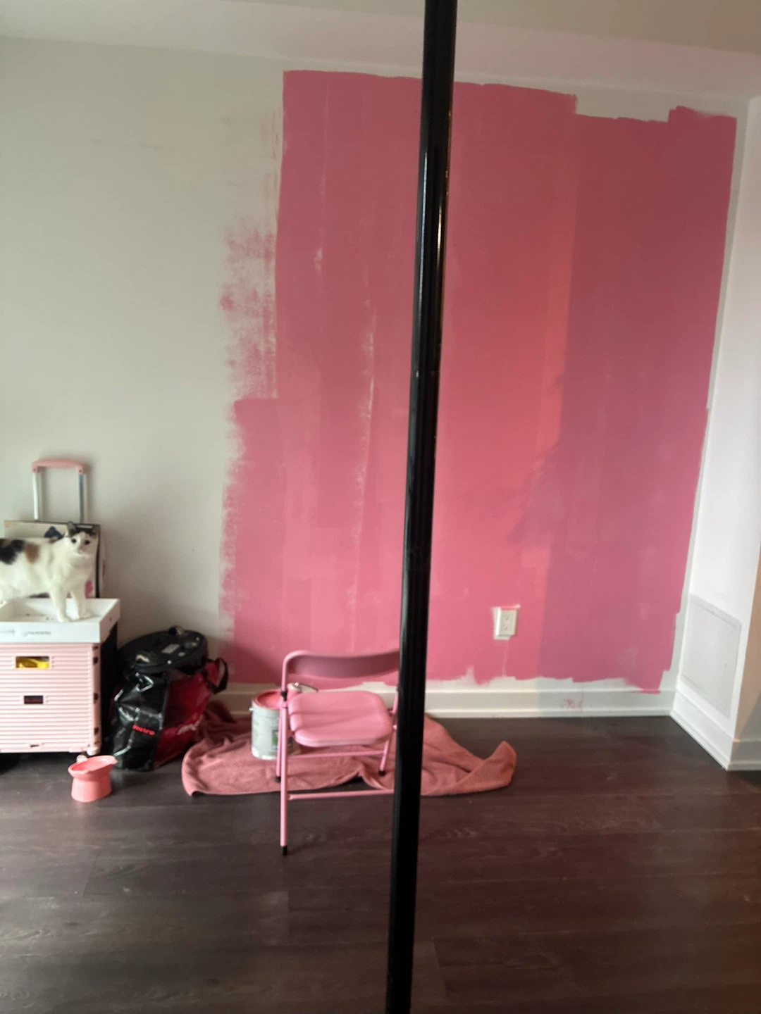 PINK Beauti-Tone Interior Paint - Blanc Texture - photo 4
