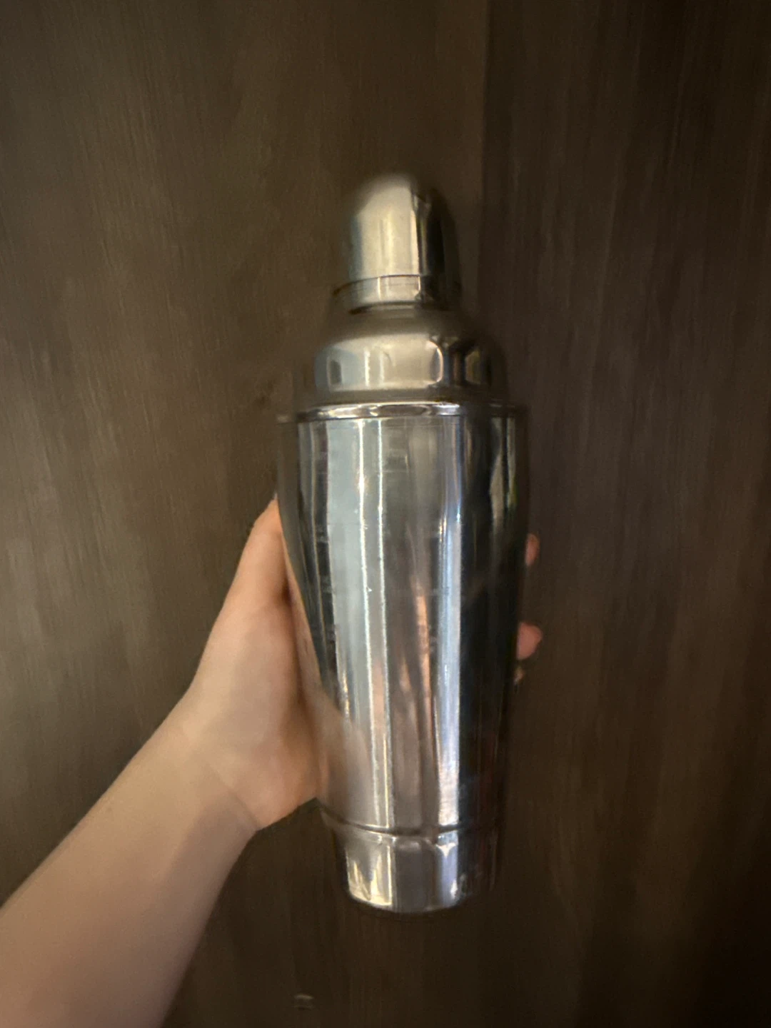 Stainless Steel Cocktail Shaker