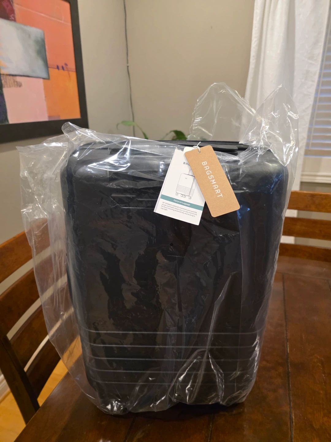 Black BAGSMART Hardside Carry-On Luggage