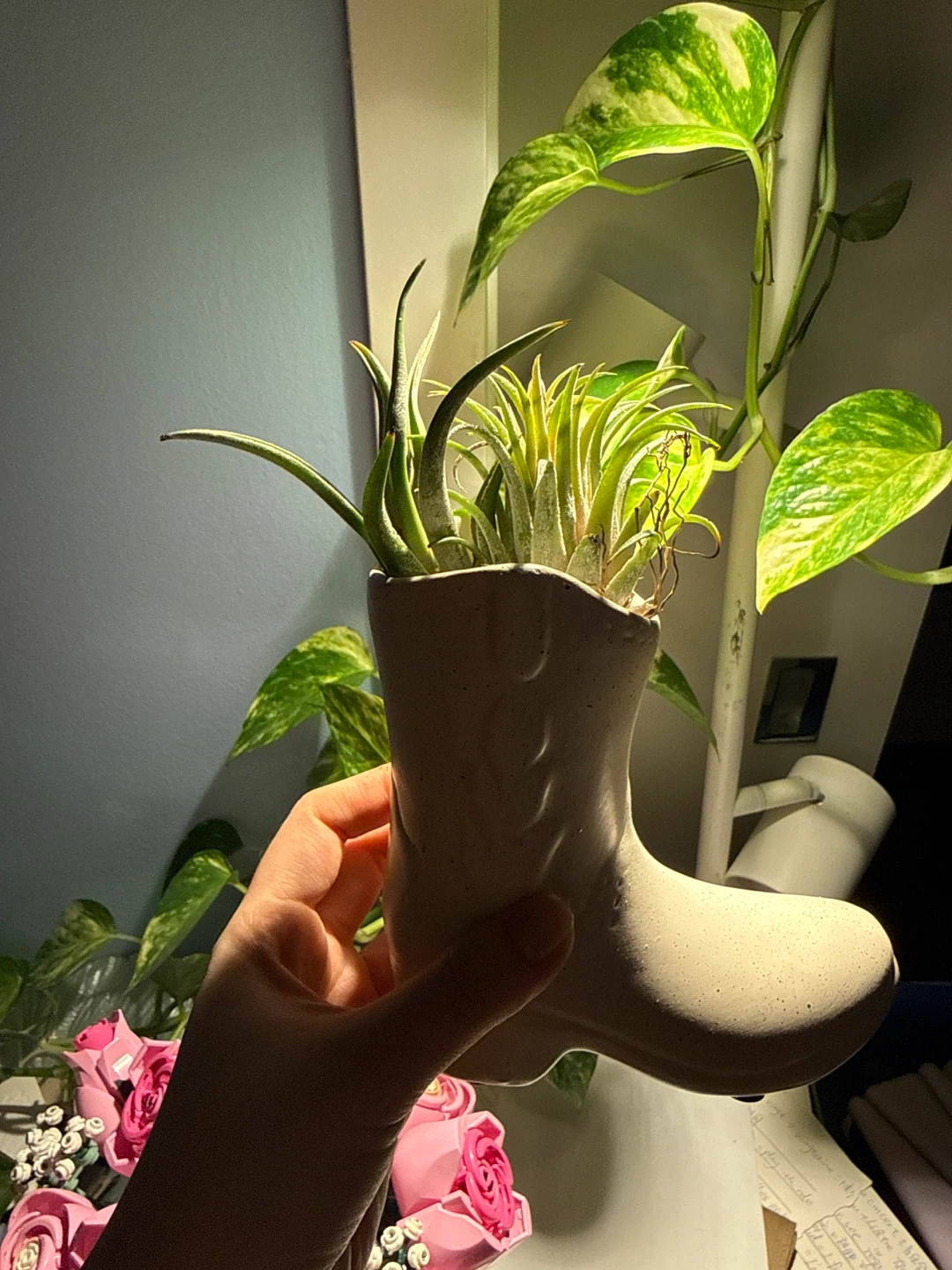 Ceramic Cowboy Boot Planter & Two Air Plants